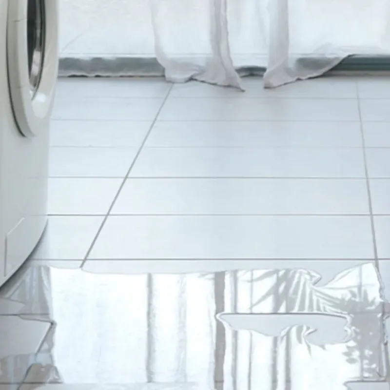 Appliance Leak Cleanup in Milford, WI