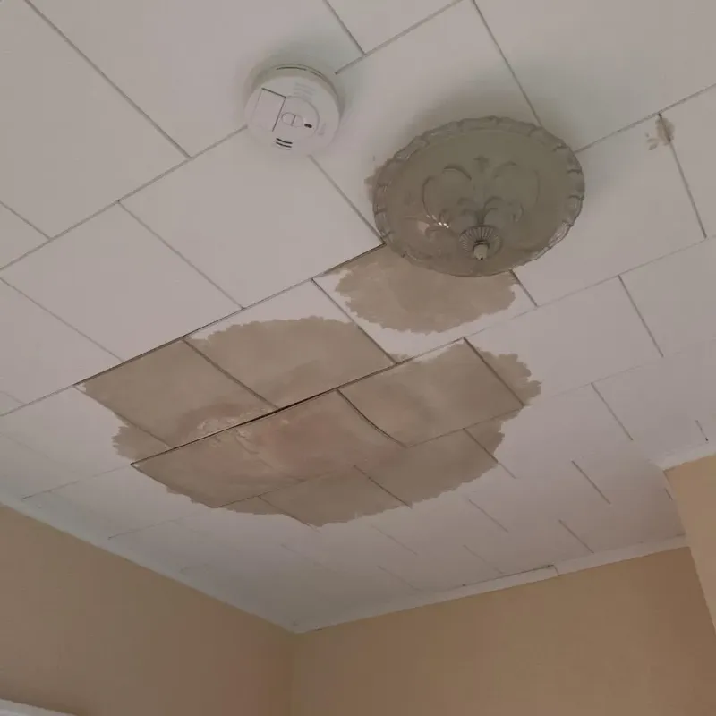 Ceiling Water Damage Repair in Milford, WI