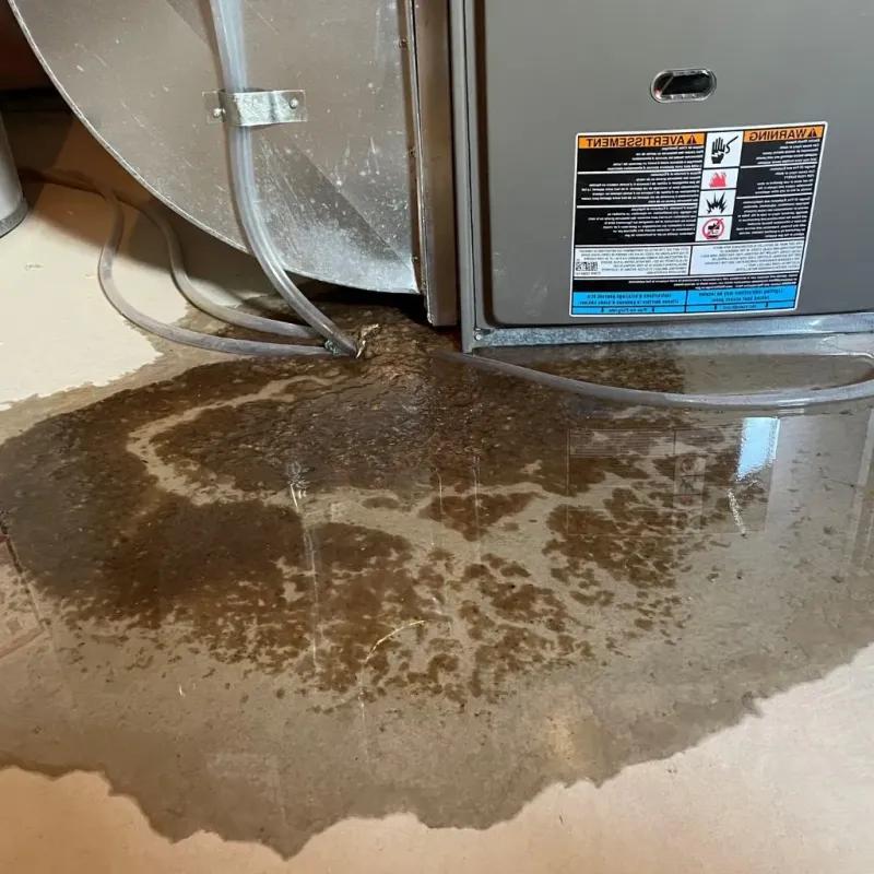 Pipe Burst and Leak Restoration in Milford, WI