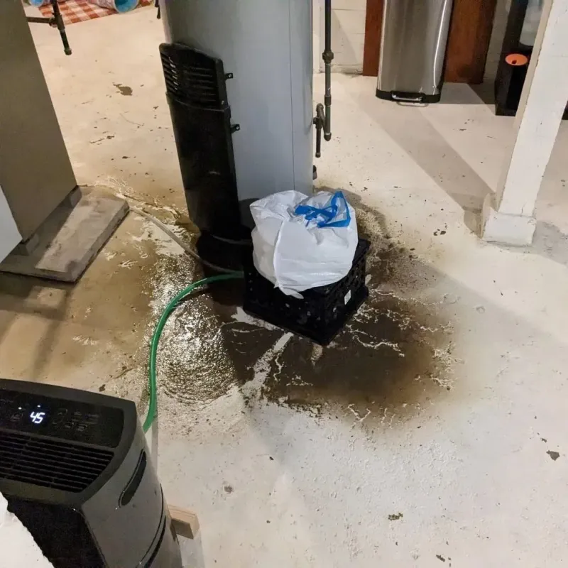 Sewage Backup Cleanup Service in Milford, WI